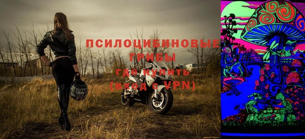 прущие крисы Белокуриха