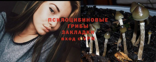 гидропоника Беломорск